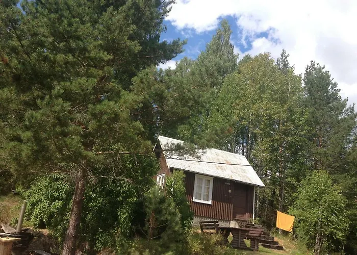 Visit Wilderness